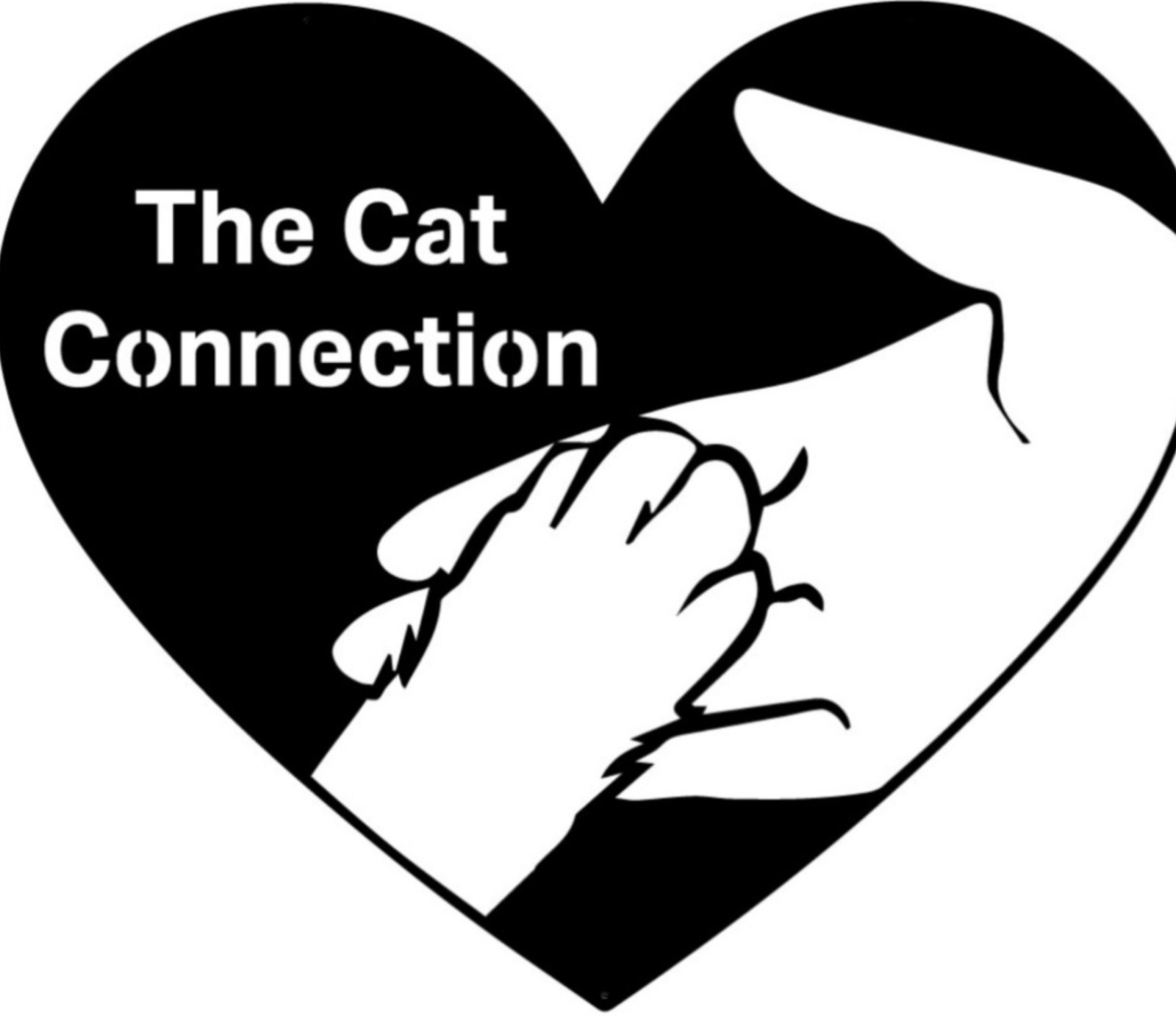 The Cat Connection